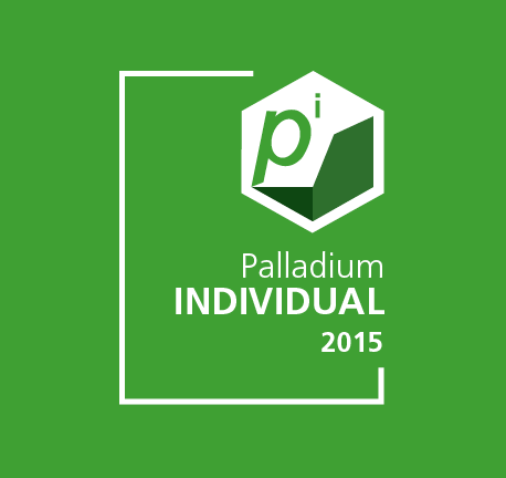 Palladium accounting software